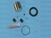 AUTOFREN SEINSA D41127C Repair Kit, brake caliper